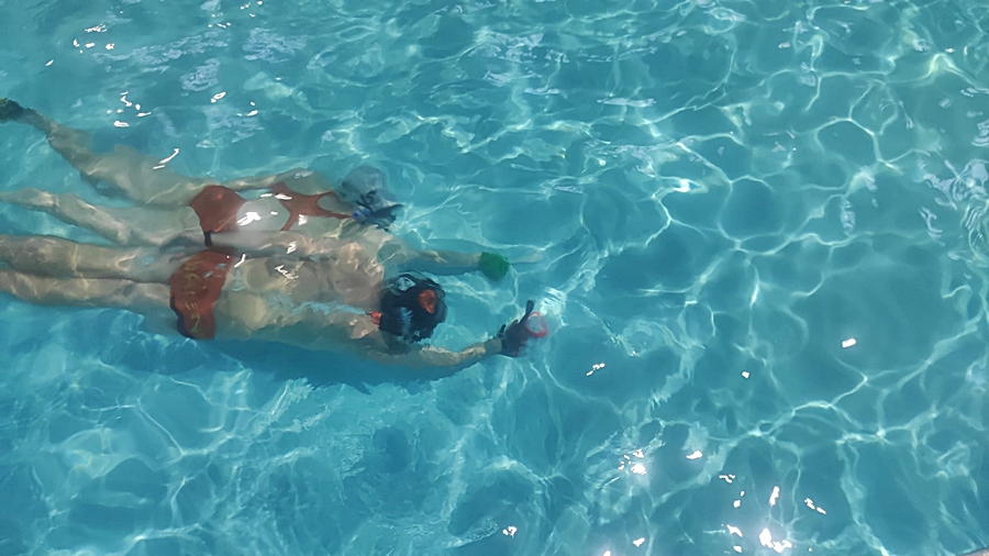 Hokej pod wodą Walenie Siemianowice Śląskie Trening 26 XI 2022. Koniec Walenia czyli Amatorska Liga Hokeja Pod Wodą